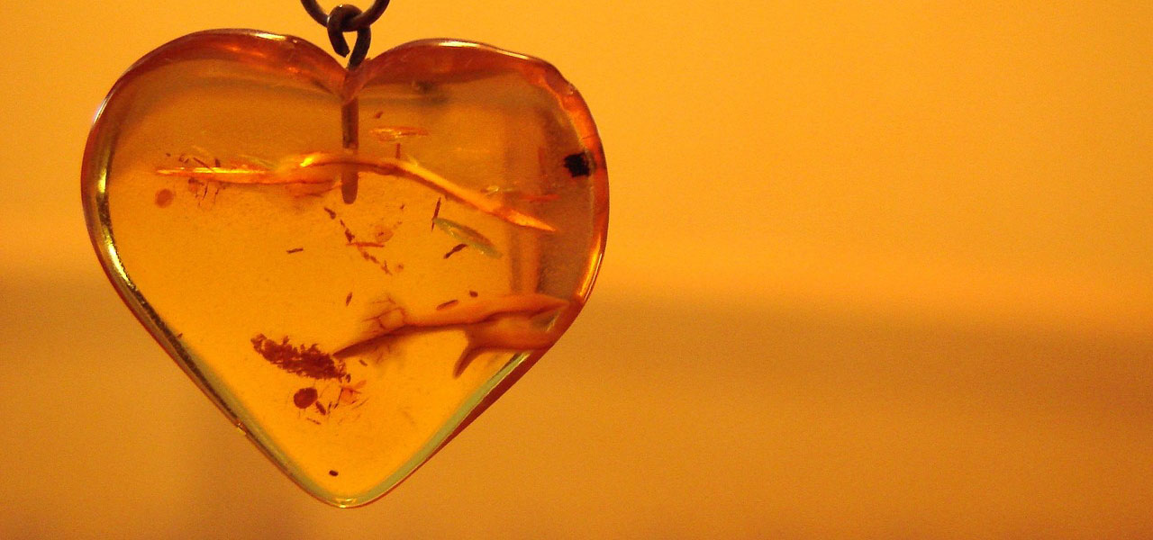 fly trapped in amber analogy