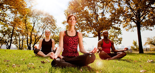Attract wealth