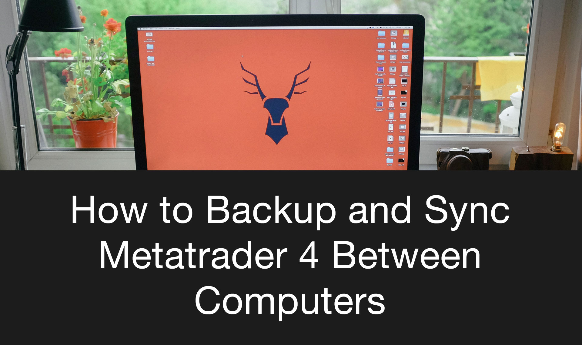 Backup and Sync MT4 with Dropbox