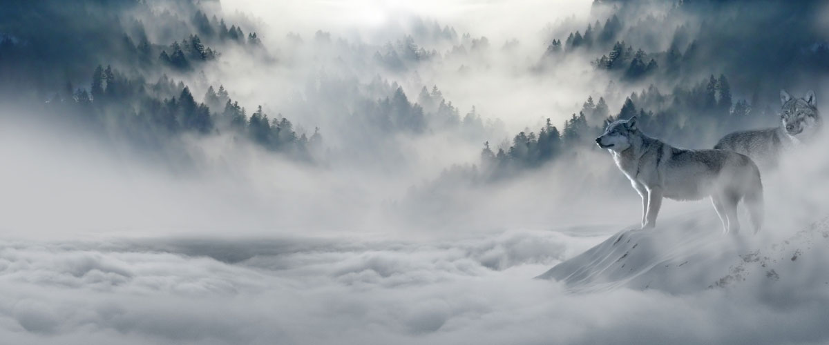 Cold storage