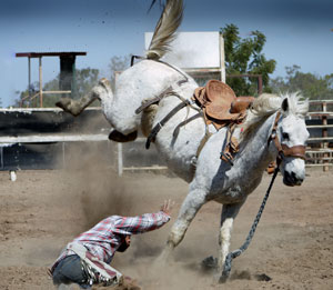Cowboy