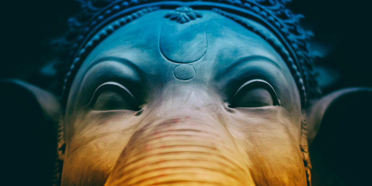 Elephant