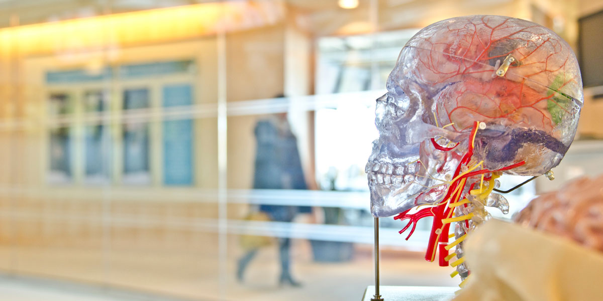 Emotion Code Brain