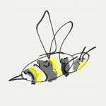 Fat Bee Trader