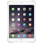 iPad Mini for traders