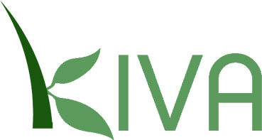 Kiva micro loans