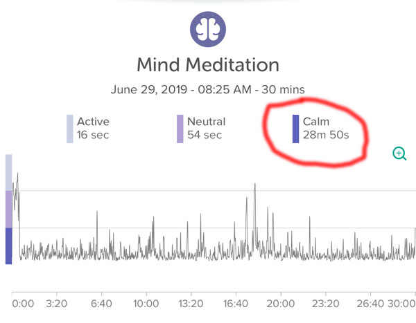 Meditation Holosync