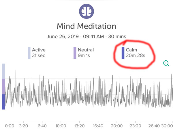 Meditation freestyle