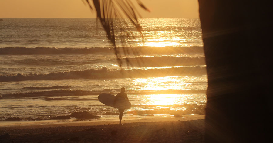 Surfer