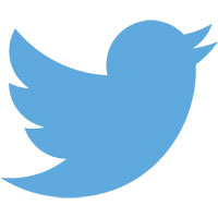 Twitter bird